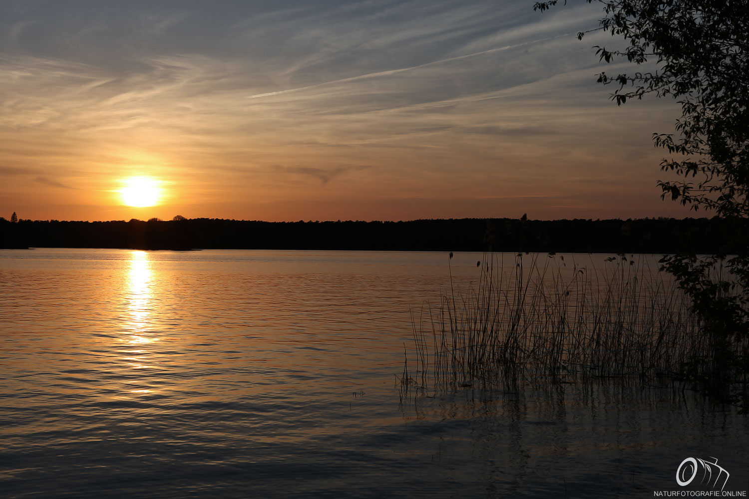 Sonnenuntergang am Seddinsee