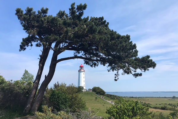 Foto vom Leuchtturm Dornbusch