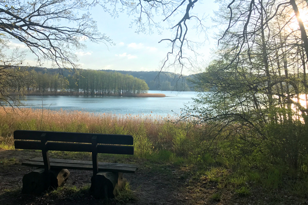 Foto vom Aussichtspunkt Schermützelsee