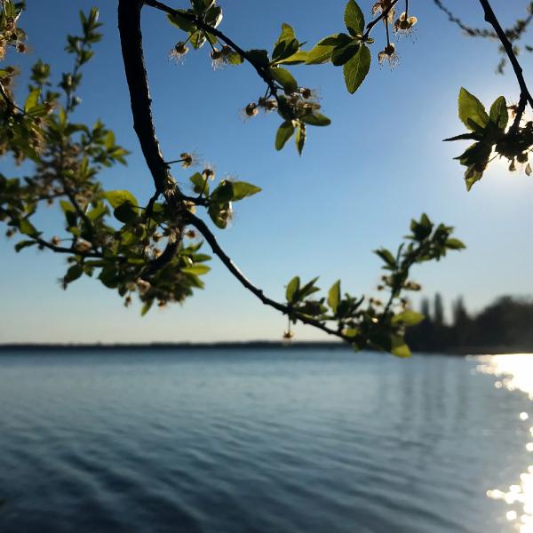 Frühlingssonne am großen Müggelsee