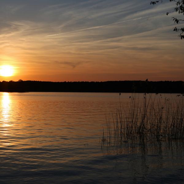 Sonnenuntergang am Seddinsee (Gosen)