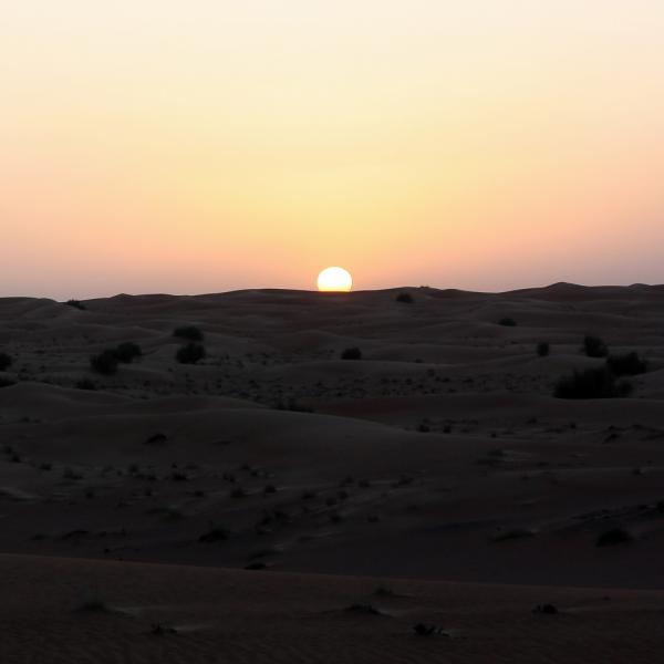 Wenn die Sonne den Horizont küsst